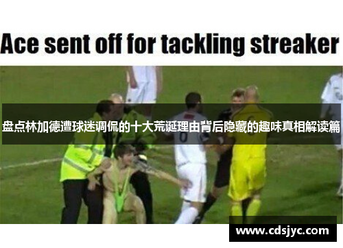 盘点林加德遭球迷调侃的十大荒诞理由背后隐藏的趣味真相解读篇